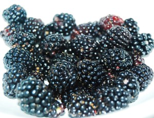 Blackberries from the yard