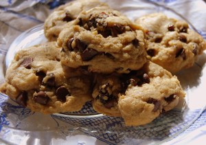 cherry choc chip 050