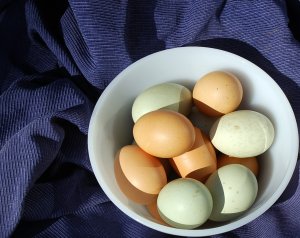 eggs and alfredo 9-22 003