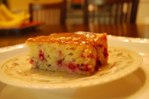 cranberry cake 035