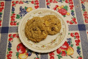 fruity oatmeal cookies 008