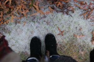 sleet and snow jan 9 2011 049