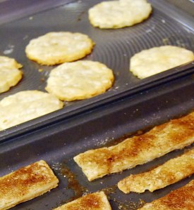 sleet and snow jan 9 2011 267