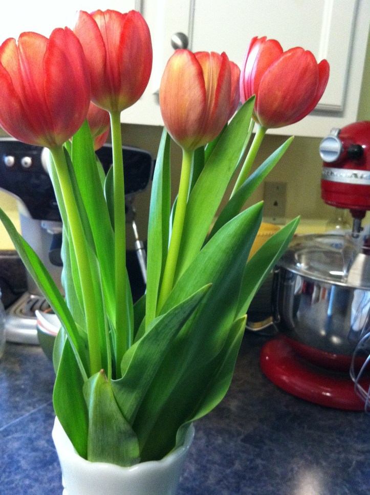 fried chicken and red tulips 005