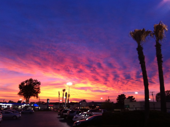 BLOG pics april 1 032