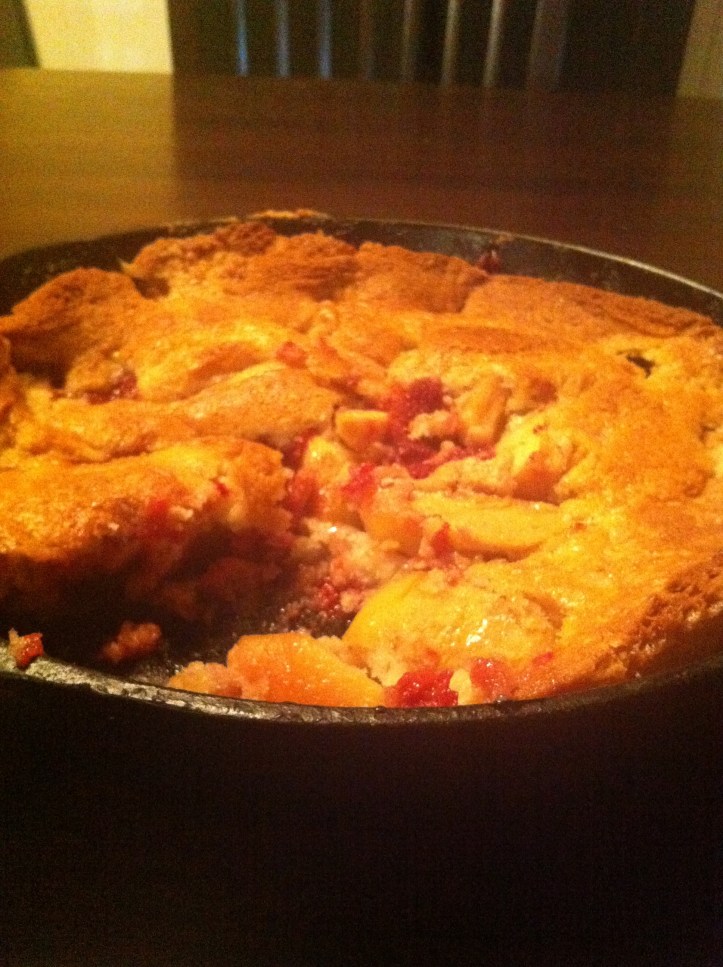 apple-raspberry cobbler and bird plates 048