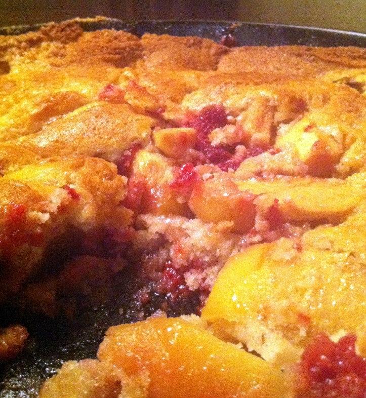 apple-raspberry cobbler and bird plates 051