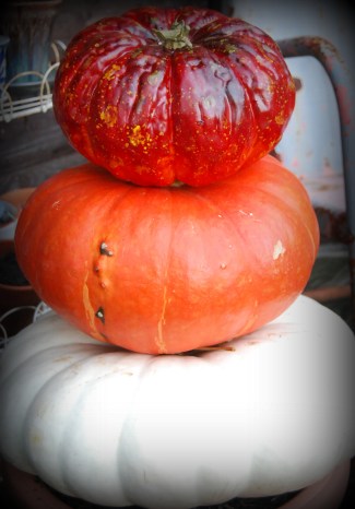 porch pumpkins 019