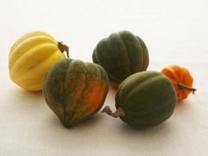 acorn squash