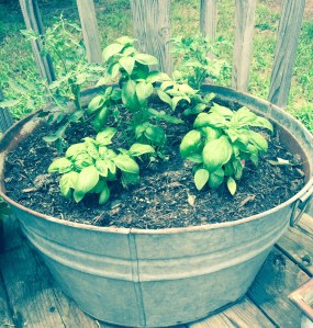 Grow some tomatoes and basil in any big container you can get your hands on