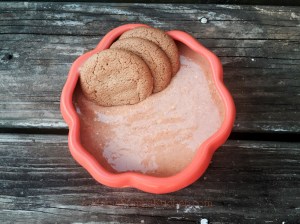 InMamaStephsKitchen.com pumpkin pie dip inmamastephskitchen.com